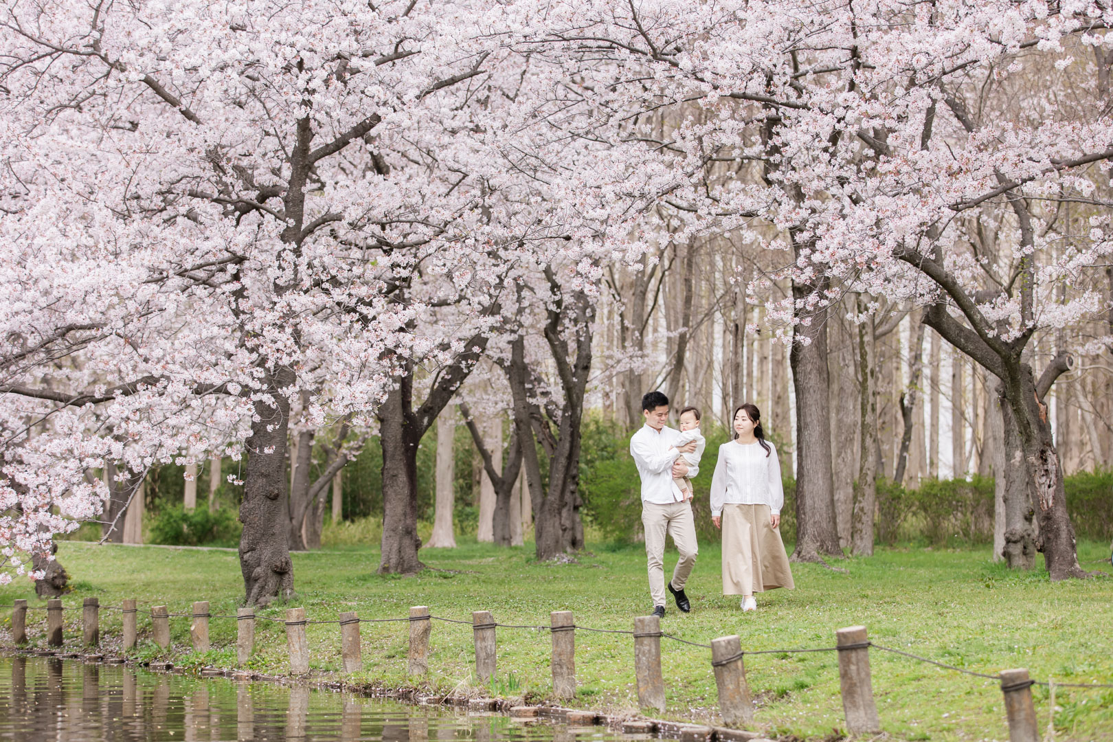 Shimamoto20220406_1034_SOkubo_5718