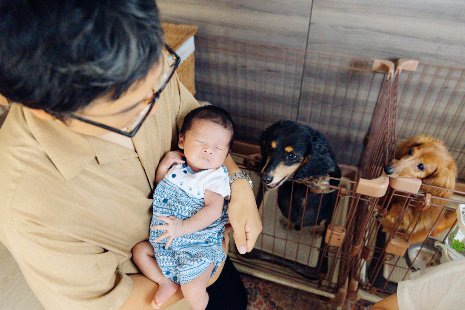 Nagahara20240727_SO__7038